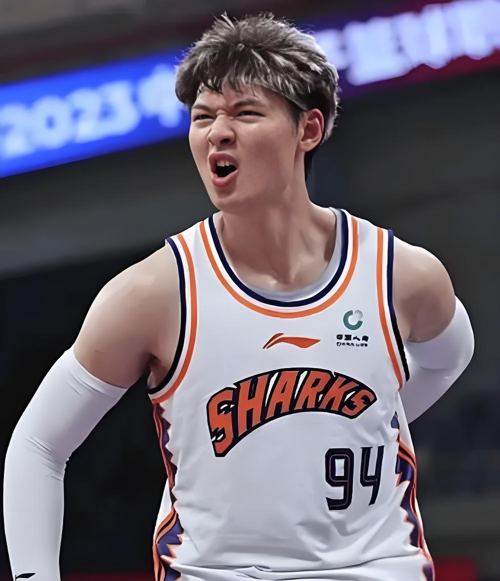 王哲林：技术流中锋的巅峰与瓶颈
